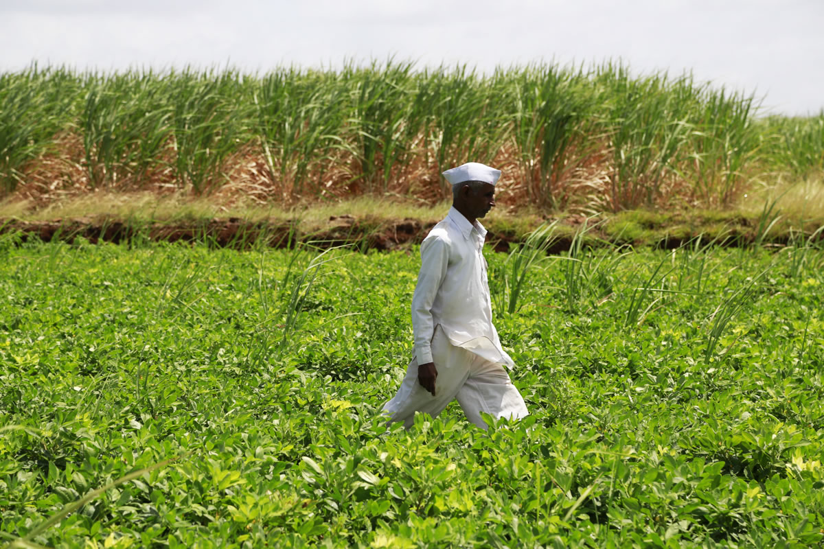 Promotion of organic farming